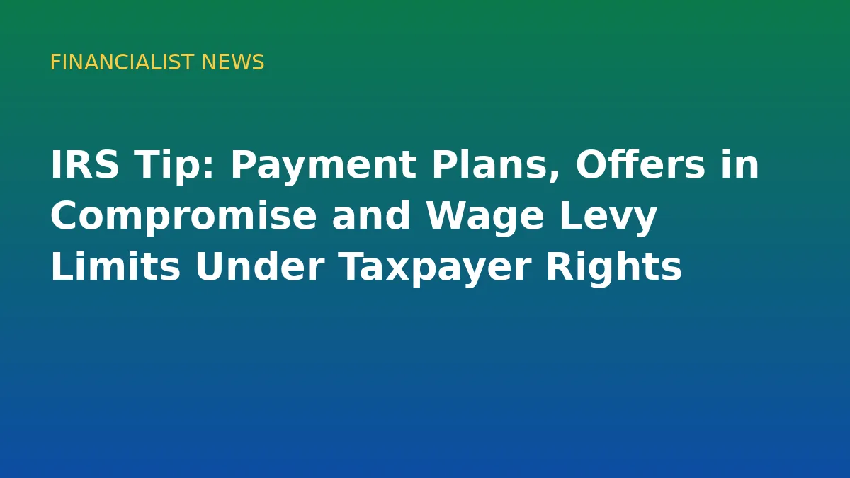IRS Tip: Payment Plans, Offers in Compromise and Wage Levy Limits Under Taxpayer Rights - conceptual editorial illustration